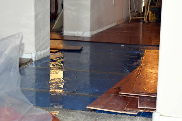 Professional Water Damage Restoration technician working in Kingman, ME